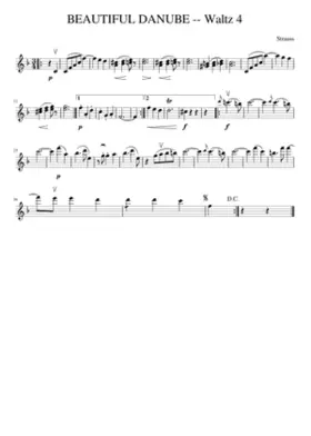 An der schönen blauen Donau Op.314