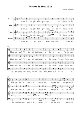 Blaison du beau tétin