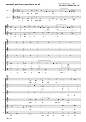 Ave mundi spes/Gotes namen fahren wir a 8