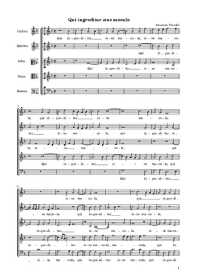 Qui ingreditur sine macula