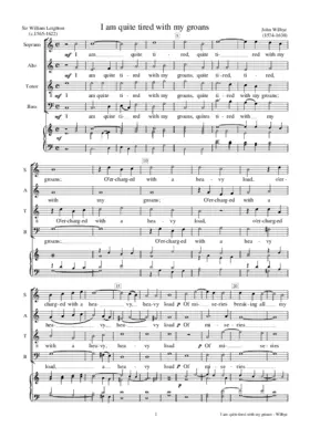 I am quite tired with my groans