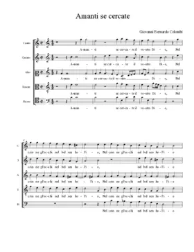 Amanti se cercate