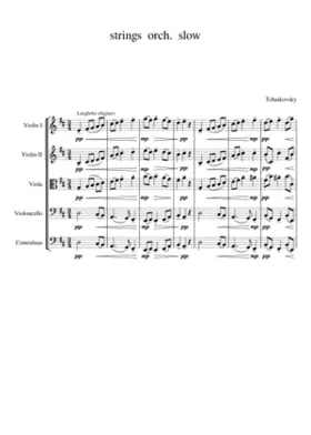 Serenade for String Orchestra Op.48