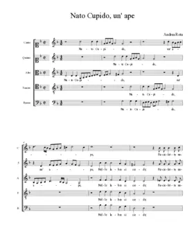 Nato Cupido, un' ape