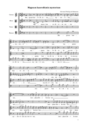 Magnum haereditatis mysterium