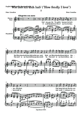 Wie lieb ich dich hab