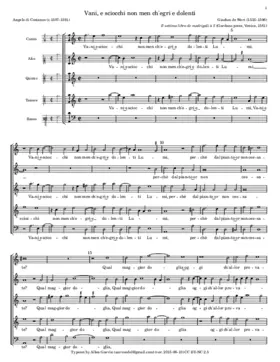 Vani, e sciocchi non men ch'egri e dolenti