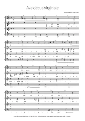 Ave decus virginale