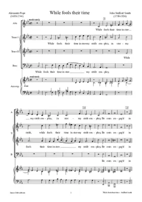 While fools their time