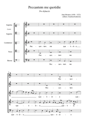 Peccantem me quotidie