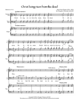 Christ being risen from the dead