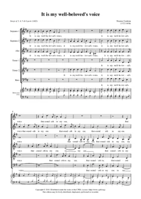 It is my well-beloved's voice