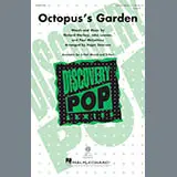 Octopus's Garden
