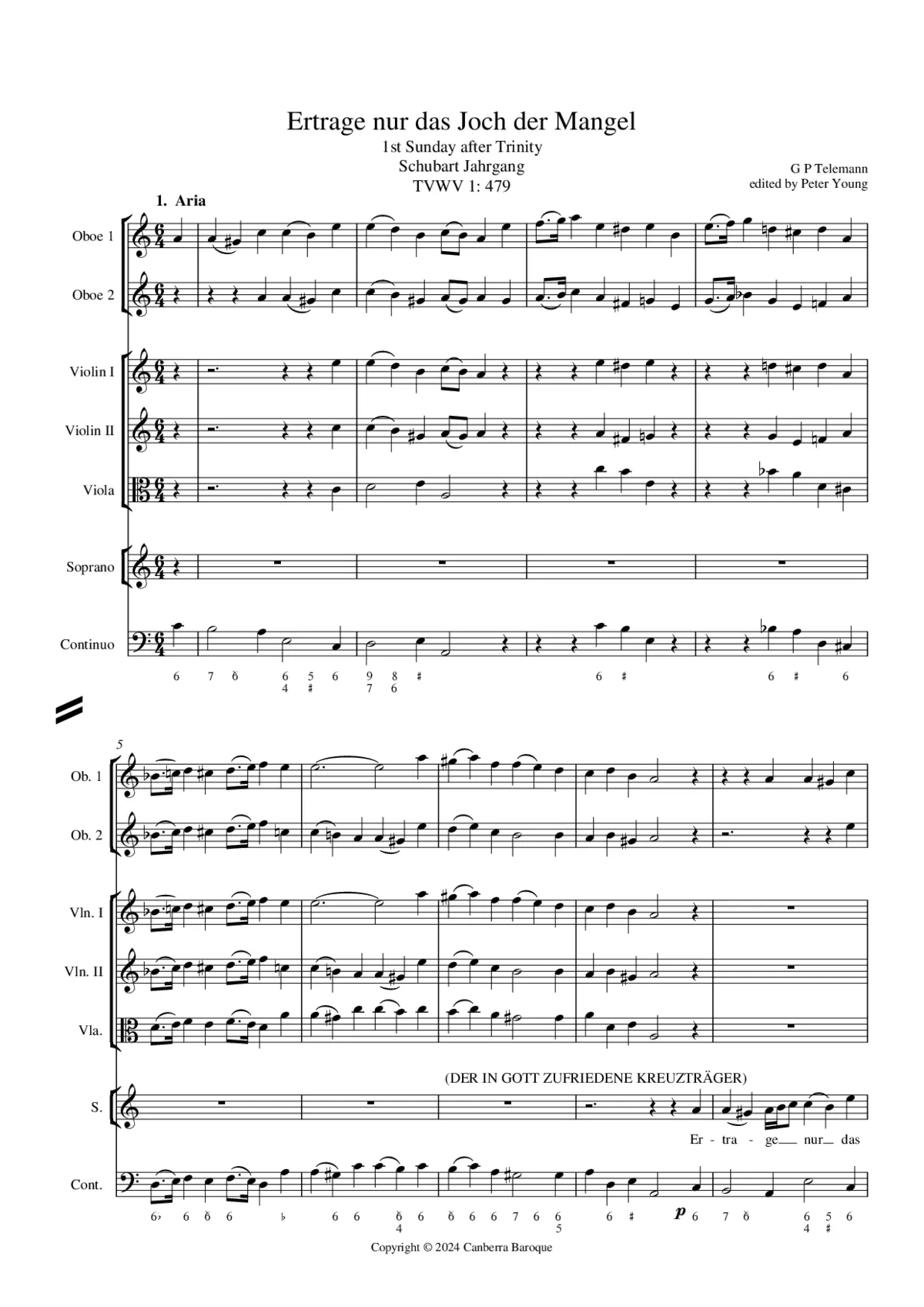 Ertrage nur das Joch der Mängel - Page 1