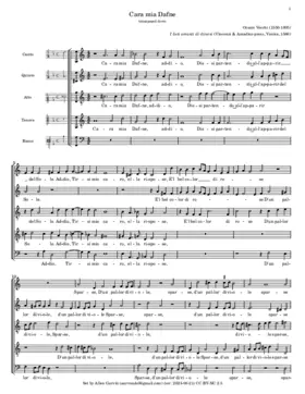 Cara mia Dafne