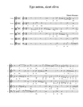 Ego autem, sicut oliva