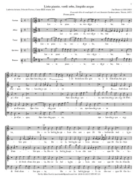 Liete piante, verdi erbe, limpide acque