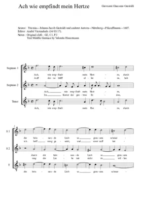 Ach wie empfindt mein Hertze