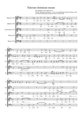 Tulerunt dominum meum