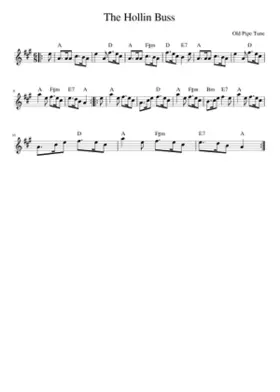 The Hollin Buss