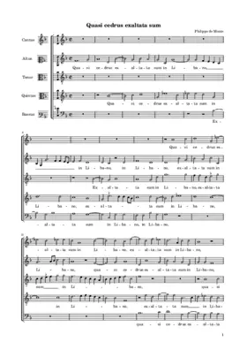 Quasi cedrus exaltata sum