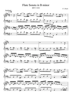Flute Sonata in B minor BWV 1030