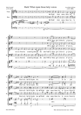 Hark, what mean those holy voices