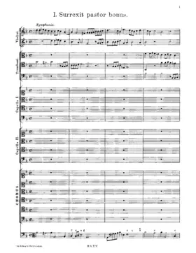 Surrexit pastor bonus