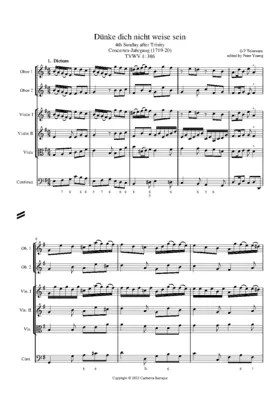 Dünke dich nicht weise sein