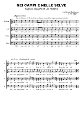 Nei campi et nelle selve