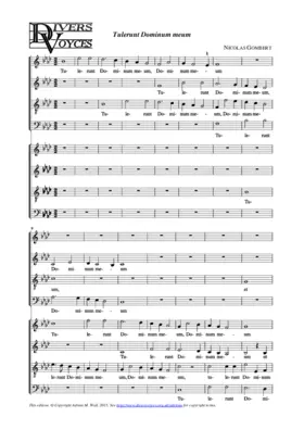 Tulerunt Dominum meum