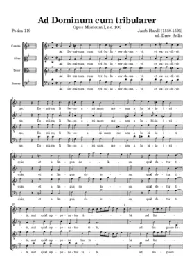 Ad Dominum cum tribularer