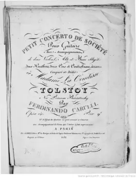 Guitar Concerto in E minor