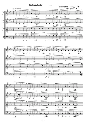 Kačena divoká (The Wild Duck)