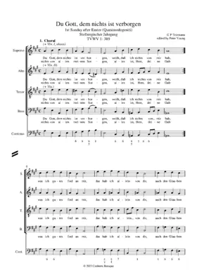 Du Gott, dem nichts ist verborgen, TWV 1:389