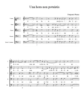 Una hora non potuístis