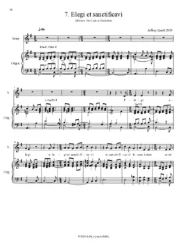 Elegi et sanctificavi