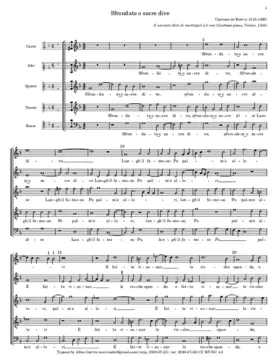 Sfrondate o sacre dive