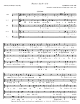 Due rose fresche - Non vede un simil par