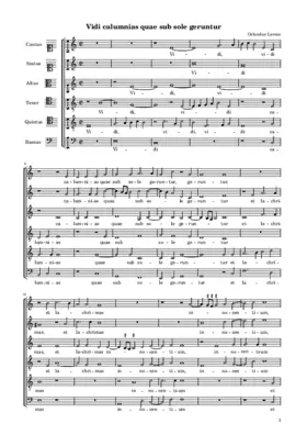 Vidi calumnias quae sub sole geruntur