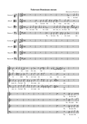 Tulerunt Dominum meum