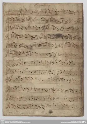 Concerto for 2 Recorders and 2 Oboes