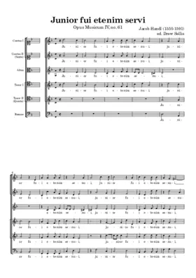 Junior fui etenim senui