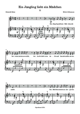 Ein Jüngling liebt ein Mädchen