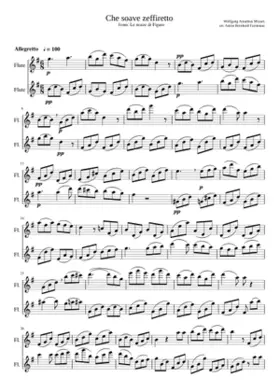 Le nozze di Figaro K.492