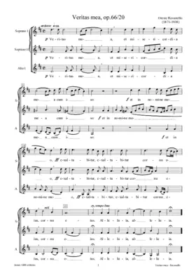 Veritas mea, op. 66/20