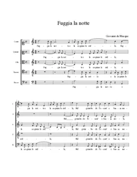 Fuggia la notte