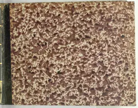 Il trionfo della fede