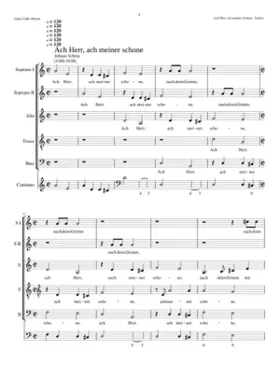 Ach Herr ach meiner schone