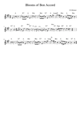 The Blooms of Bon Accord